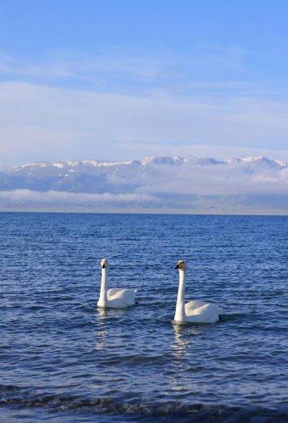 新疆的旅游景点有哪些