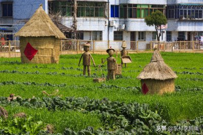 城市和农村的区别 城市和乡下的生活对比出的7大差异