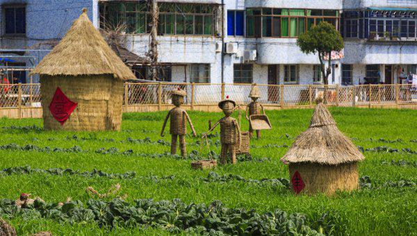 城市和农村的区别