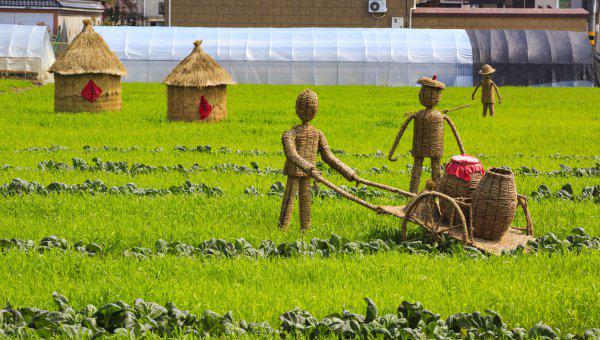 城市和农村的区别