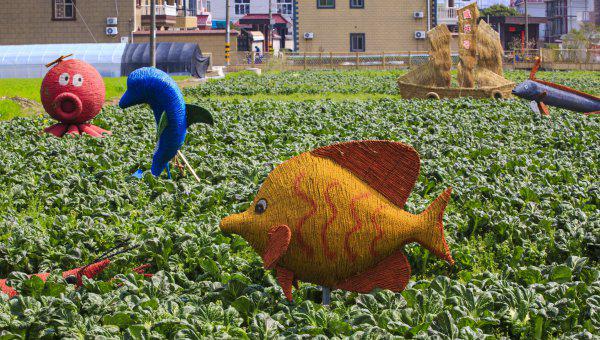 城市和农村的区别