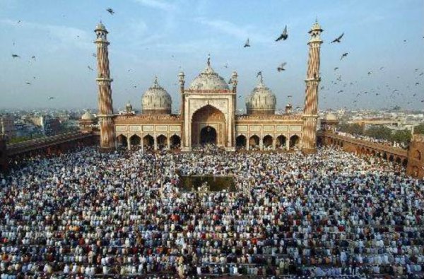 回民不能吃什么动物的肉