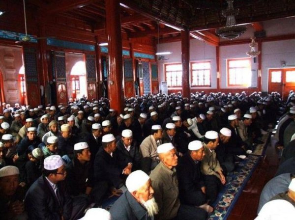 回民不能吃什么动物的肉