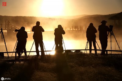 iso是什么的简称 数码照相机中的感光度是干什么用的