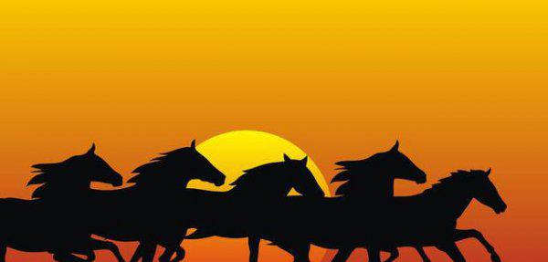 iso是什么的简称