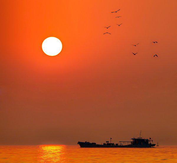 iso是什么的简称