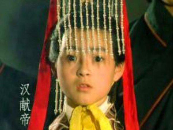 汉少帝是被什么人废黜的