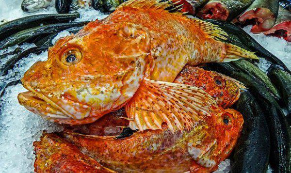 美国的饮食习惯特点及观念