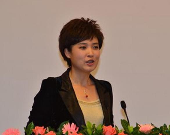 桑晨主持人个人简历