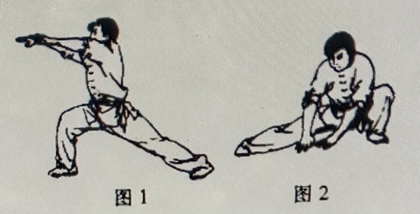 金刚铁掌功高级功法图片