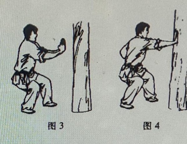 金刚铁掌功高级功法图片