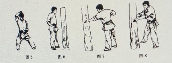 金刚铁掌功高级功法图片