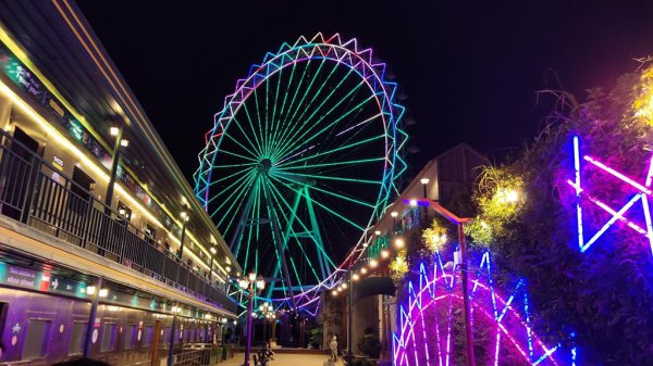 公认拍照最好看的手机