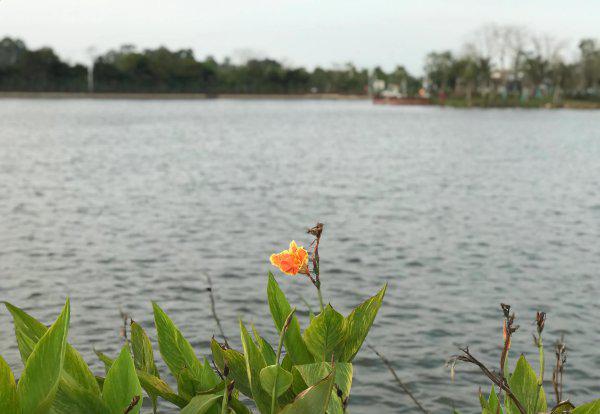 溥仪我的前半生小说简介