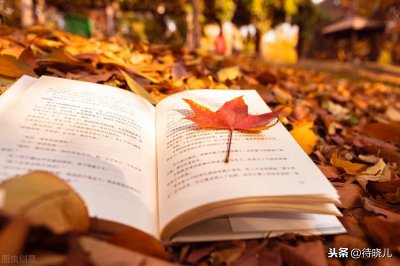 骑鹅旅行记的作者是谁 骑鹅旅行记主要主人公人物和内容