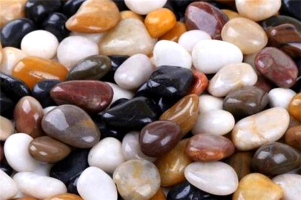 公孙龙属于哪个学派