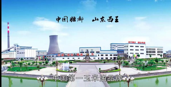 全中国最有钱的村叫什么