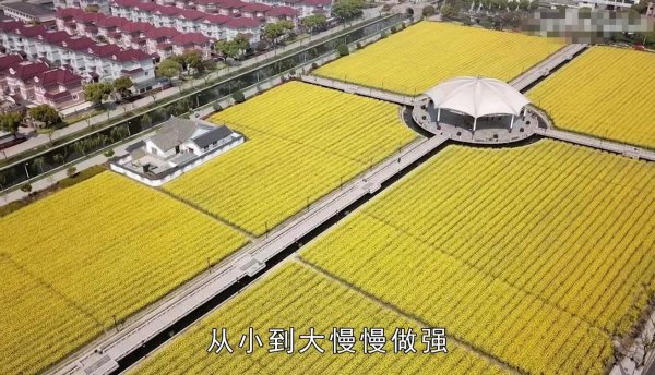 全中国最有钱的村叫什么