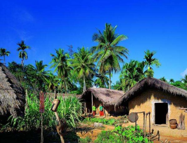 海南黎族的风俗文化