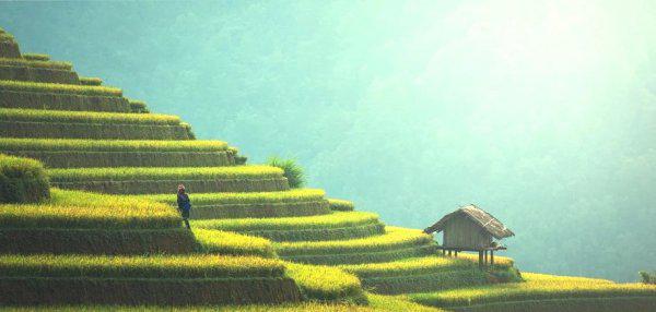 民间四大缺德事是什么意思