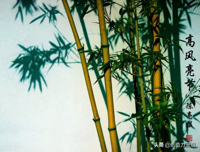 门前种竹子风水好不好 家门前种竹子影响风水的讲究禁忌