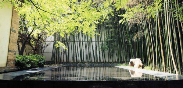 门前种竹子风水好不好