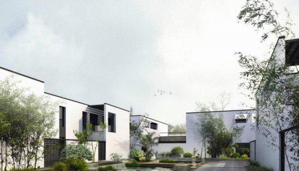 门前种竹子风水好不好