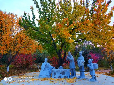 杏坛指什么出自哪个典故 杏坛和杏林的关系来历和意思