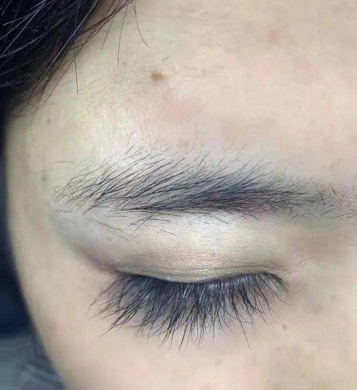 睫毛增长液真的有用吗