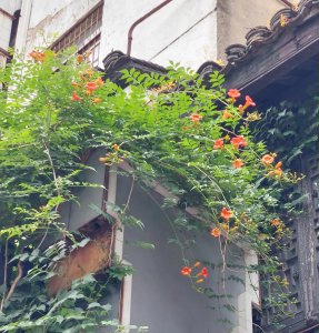 女朋友要的仪式感是啥 什么是爱情关系里的仪式感