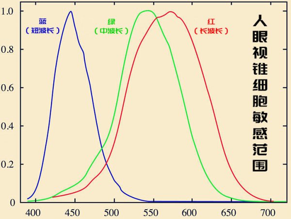 我们看到天为什么是蓝色