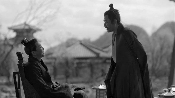 庆余年结局言冰云为什么刺范闲