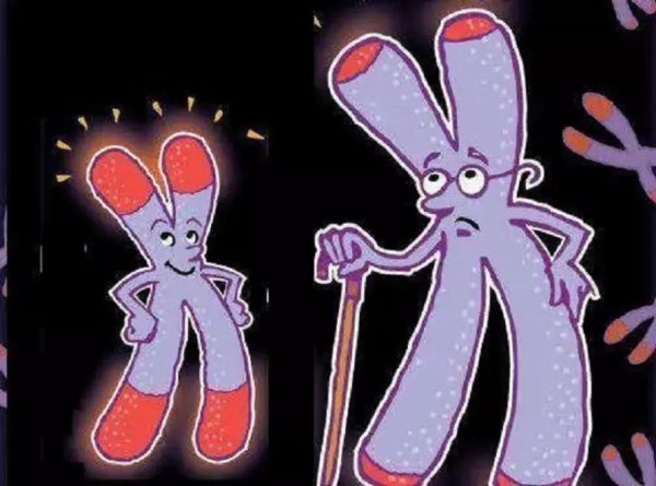 中国寿命最长的人443岁是谁