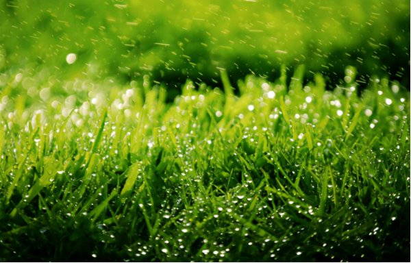 女朋友不回信息是准备分手吗