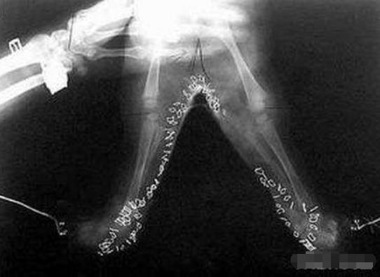 世界上真的有美人鱼存在吗