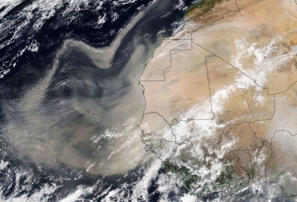 最大沙漠撒哈拉沙漠在哪里