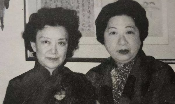 最美名媛严仁美现状如何