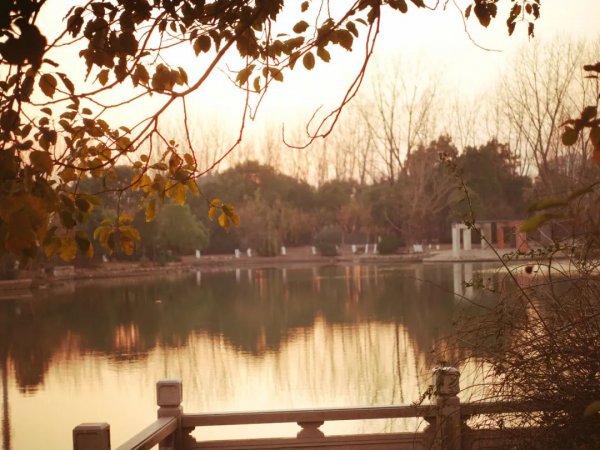 刘禹锡最有名的10诗