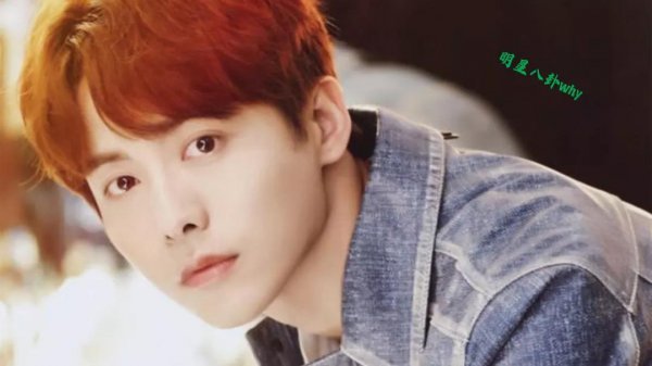 马天宇为什么不会有女朋友