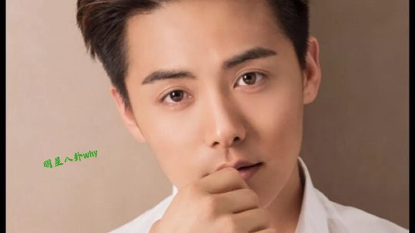 马天宇为什么不会有女朋友