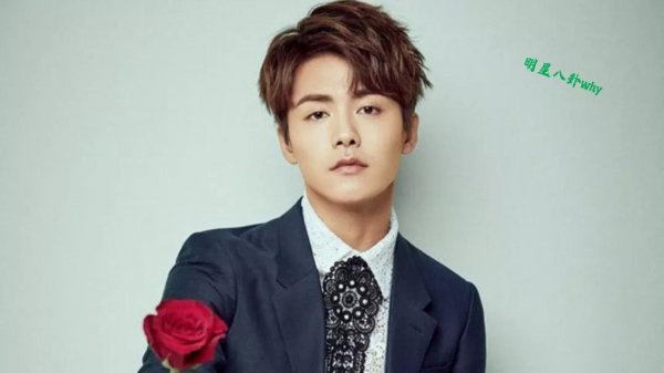 马天宇为什么不会有女朋友