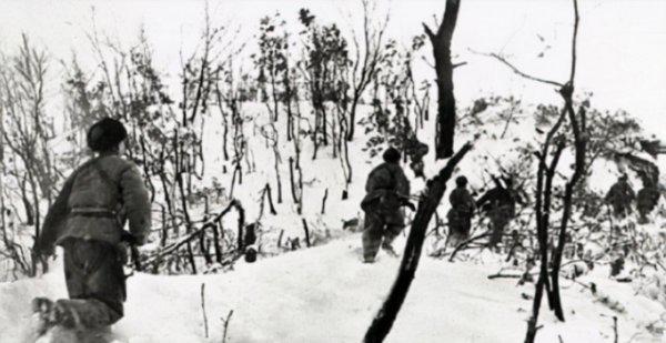 北极熊团团长被谁击毙