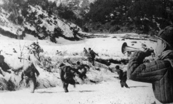 北极熊团团长被谁击毙