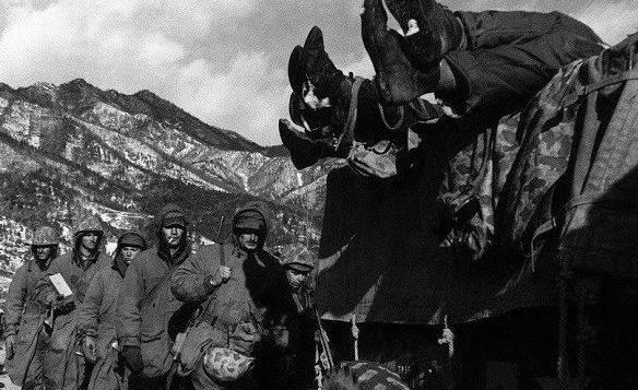 北极熊团团长被谁击毙