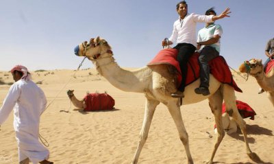 骆驼的寿命一般是多少年 骆驼一般可以活多长时间