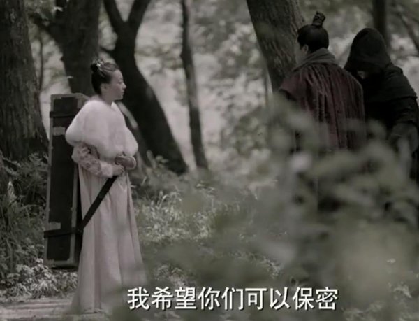 叶轻眉为啥要和庆帝生孩子