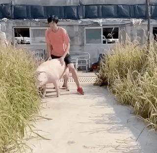 张国伟龙吸水视频