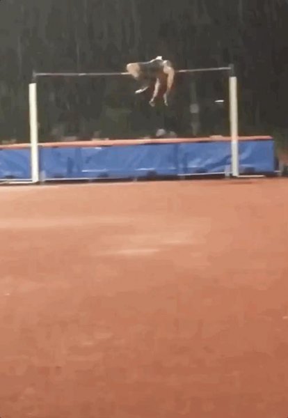 张国伟龙吸水视频