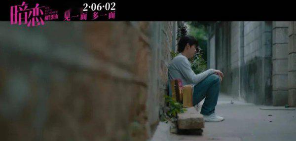 盛淮南什么时候喜欢洛枳的