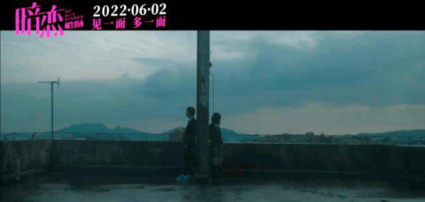 盛淮南什么时候喜欢洛枳的